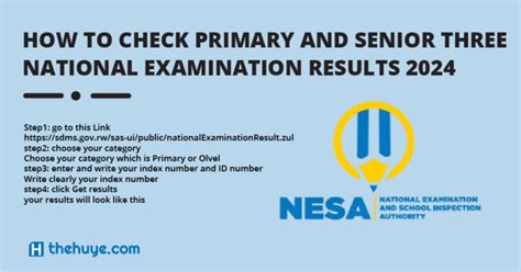 sdms results|HOW TO CHECK PRIMARY AND SENIOR THREE NESA .